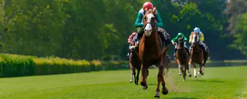 Bloodstock and equine insurance